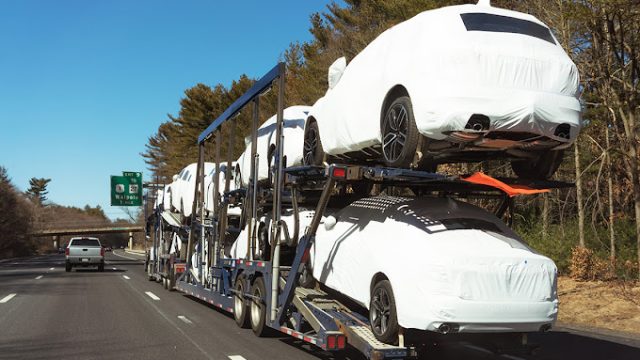 Crane Auto Transport