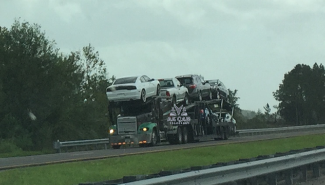 B.A Auto Transport and Shipping