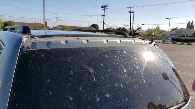 Nexus Auto Transport