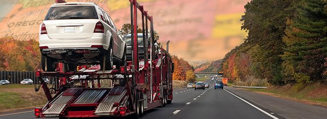 Crane Auto Transport