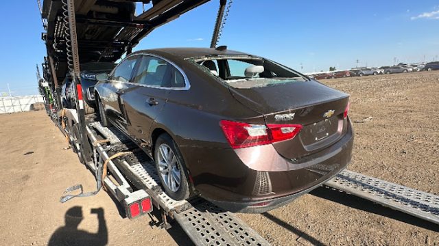 AF1QipOVb-Jjaw9_GdeXTgPWiqthYqY-IGE0Fhe8o33q=s680-w680-h510