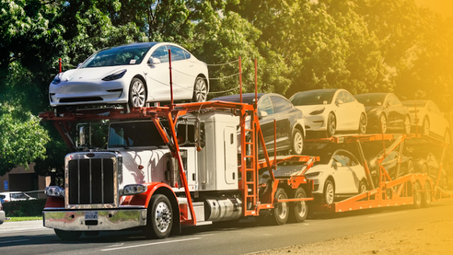 Ship Guy Auto Transport