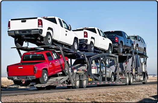 Crane Auto Transport