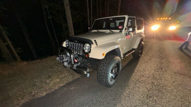 Payless Auto Shipping