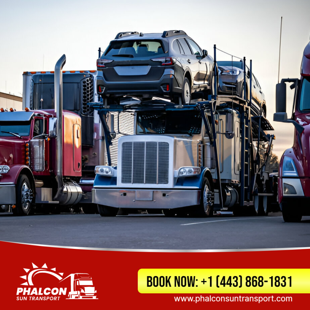 Phalconsun Transport