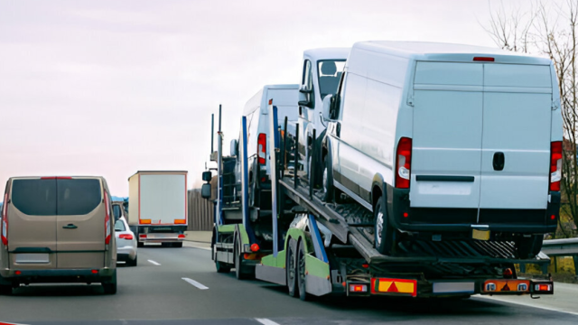 Phalconsun Transport