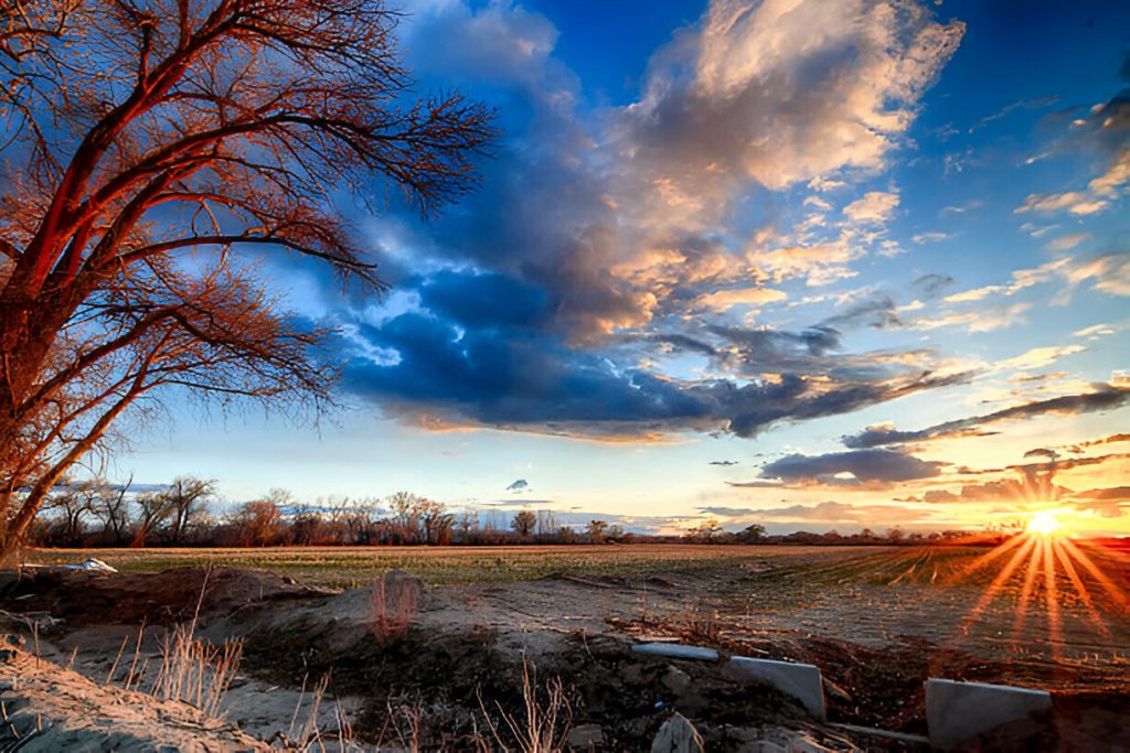 Auto Shipping Company near Fallon, Nevada